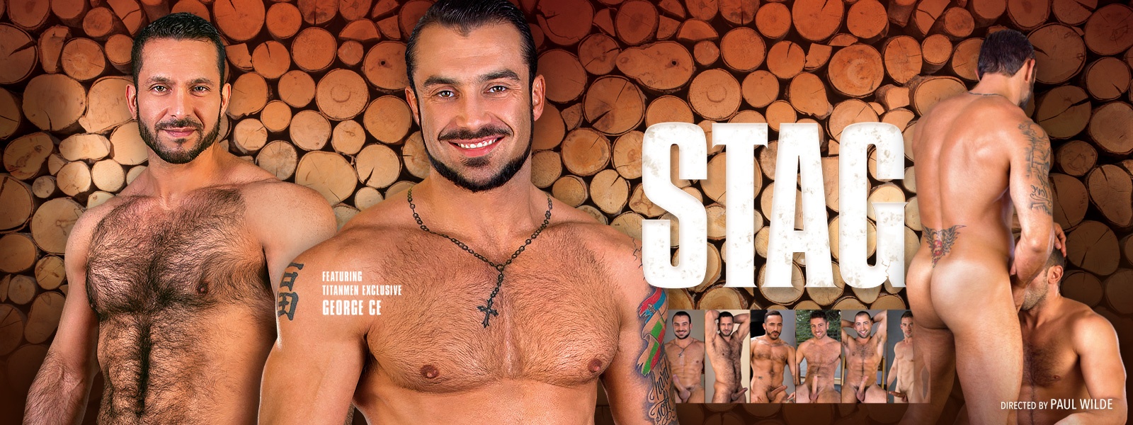 Stag