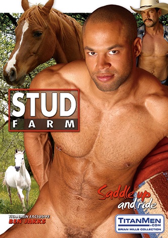 Stud Farm