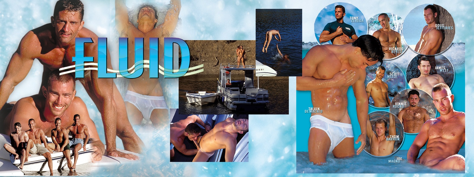 Fluid